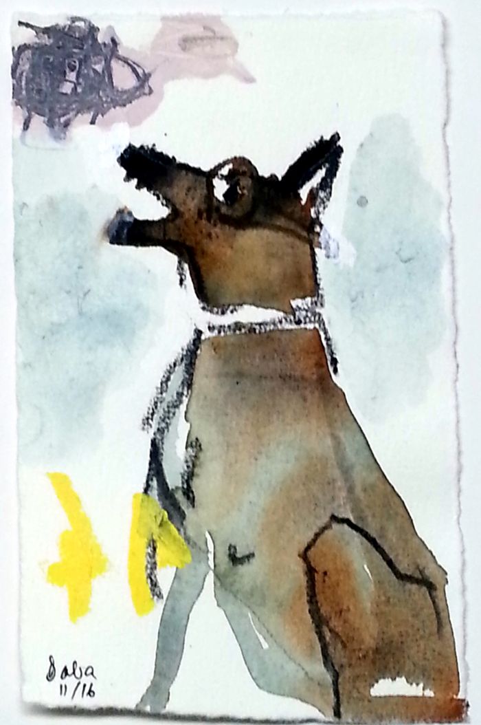 dezember daily 2016 14