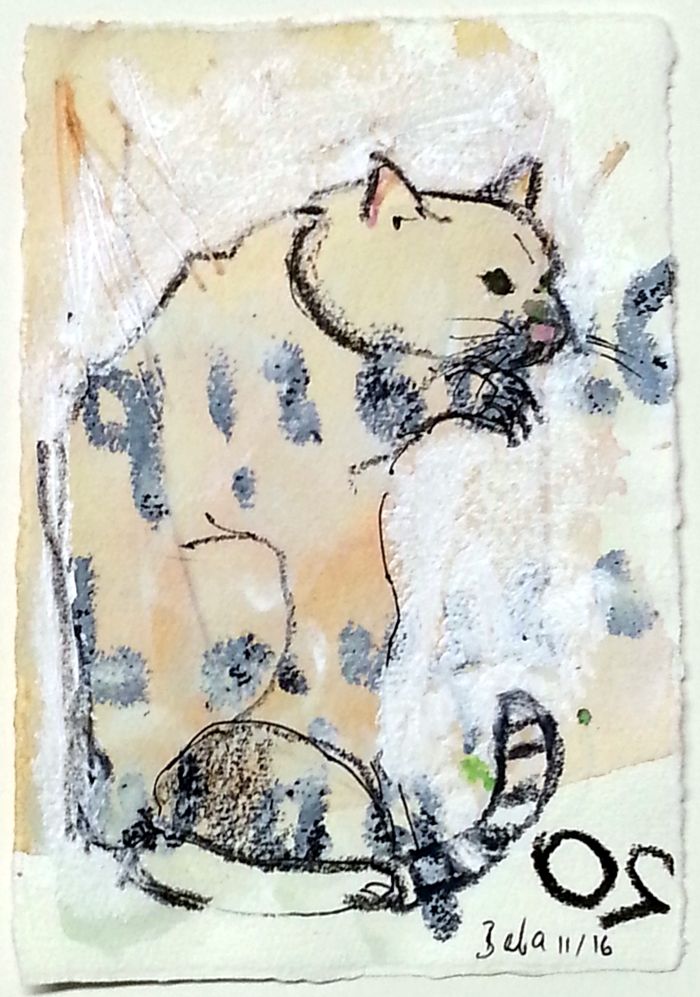 dezember daily 2016 20