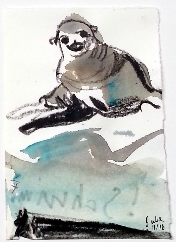 dezember daily 2016 7